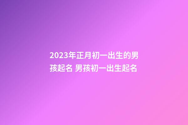 2023年正月初一出生的男孩起名 男孩初一出生起名